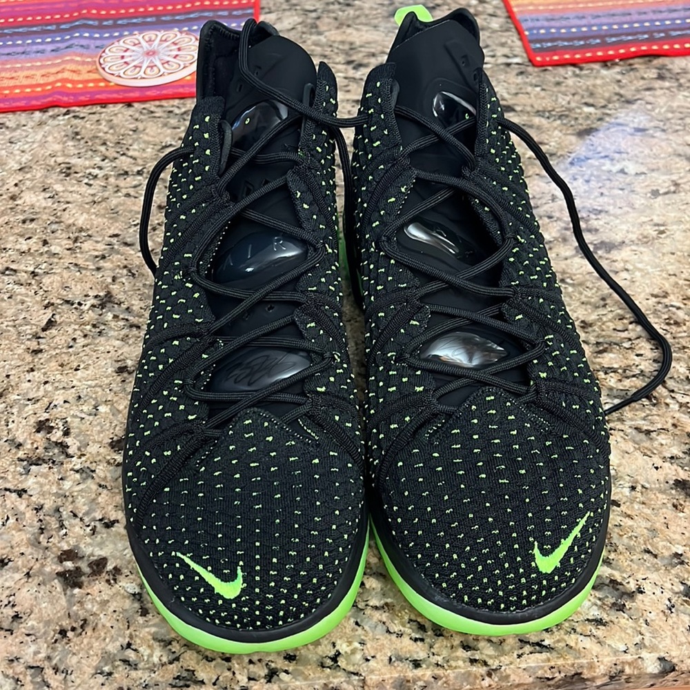 Nike Lebron Duncan sneakers